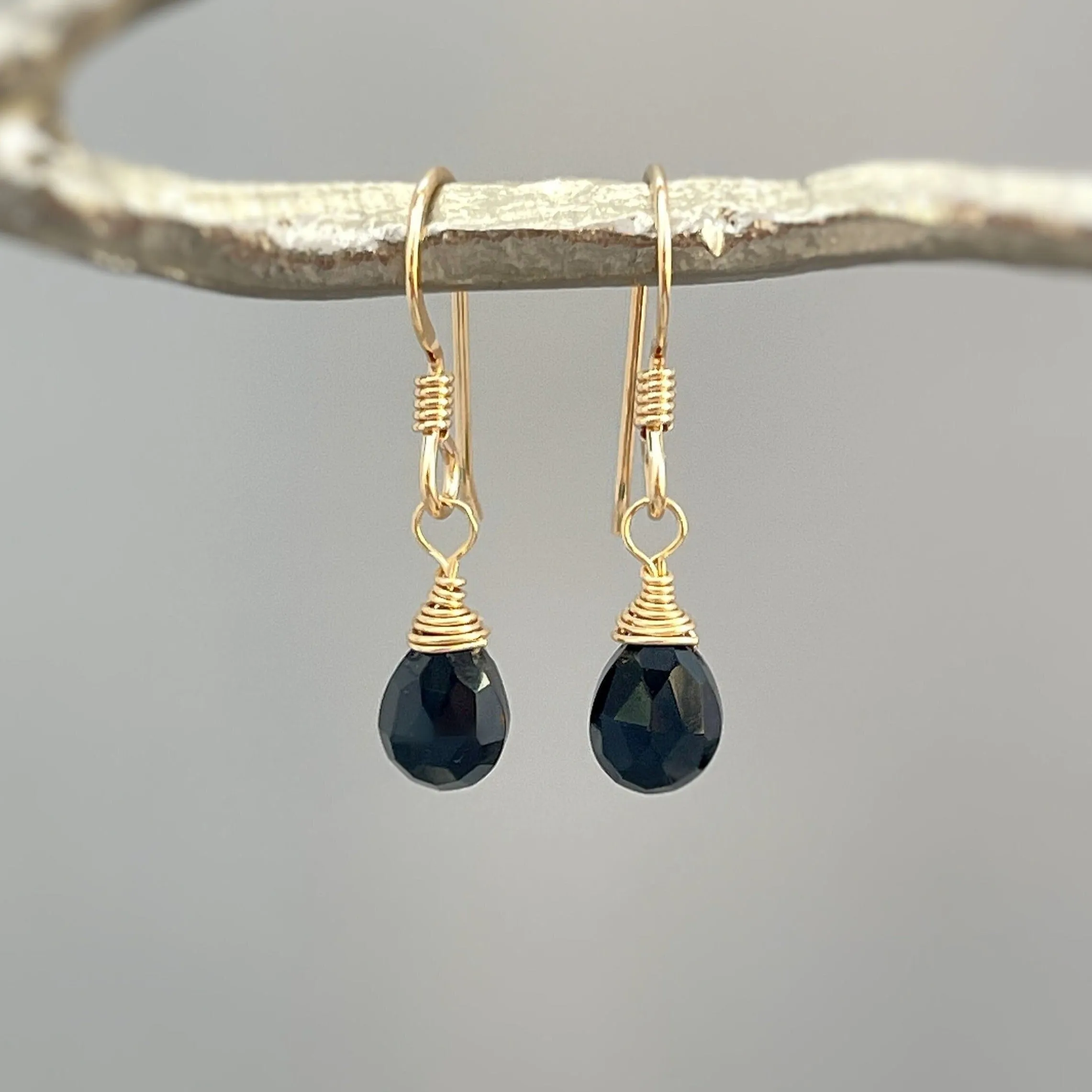 Dainty Black Onyx Earrings dangle Gold