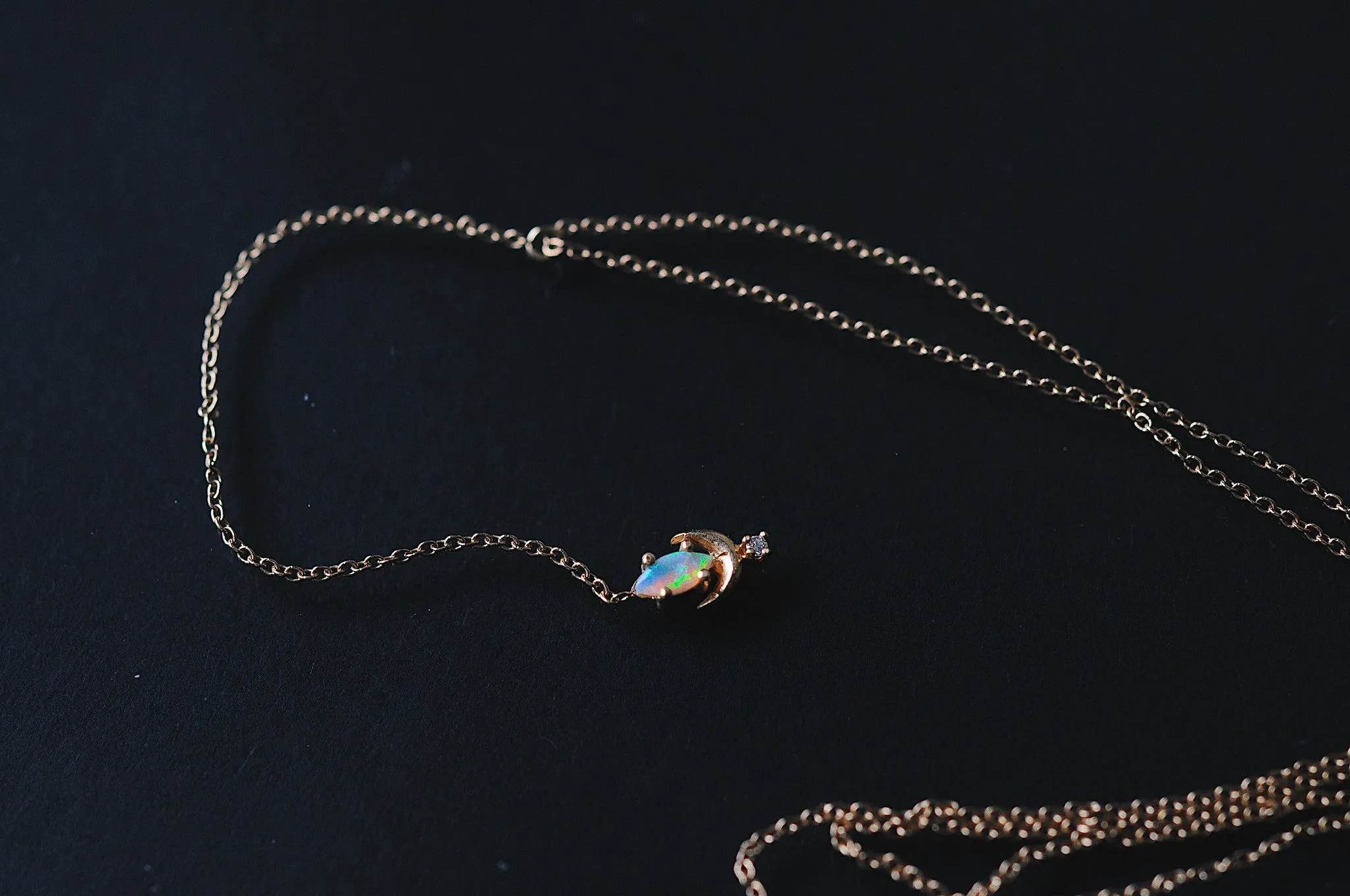 Lvna Lariat Necklace