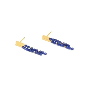 Yanizzi Lapis Lazuli Earrings - 15787236